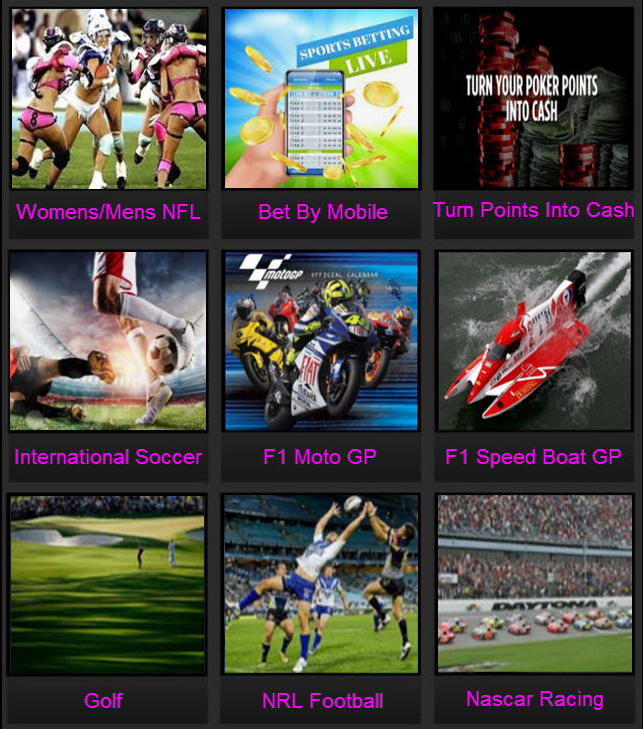 World Wager Bet MM World Wager Bet MM